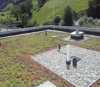 Grünes Dach am Kindergarten in Großarl