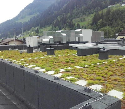 Grünes Dach Volksschule Großarl